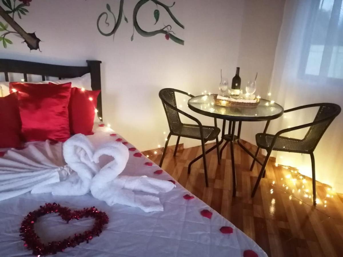 Calarcá Finca Turistica Santa Clara 호스텔 외부 사진