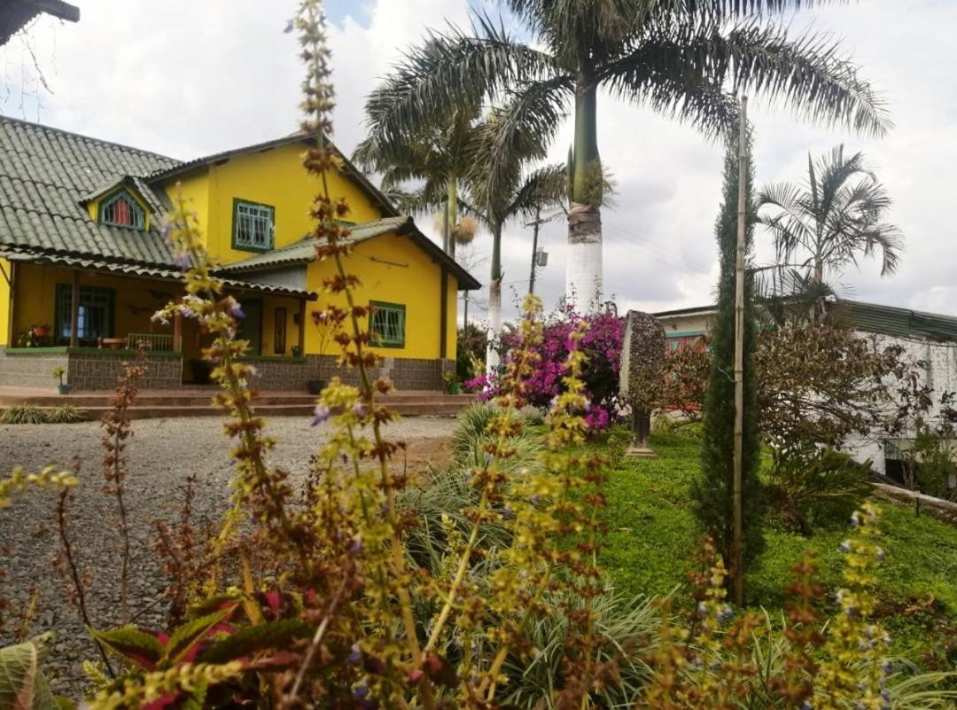 Calarcá Finca Turistica Santa Clara 호스텔 외부 사진