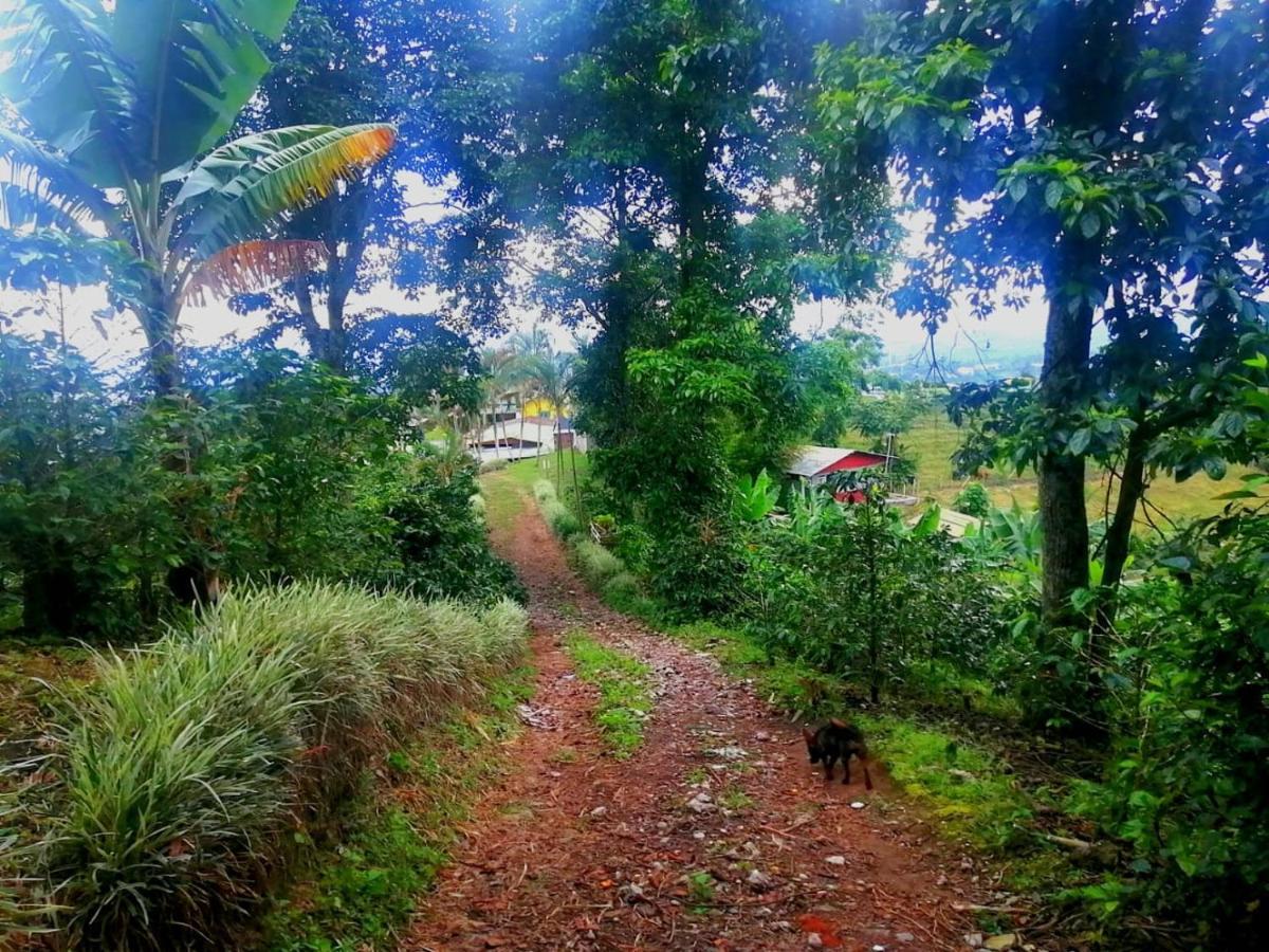 Calarcá Finca Turistica Santa Clara 호스텔 외부 사진