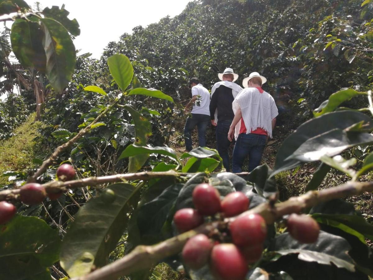 Calarcá Finca Turistica Santa Clara 호스텔 외부 사진