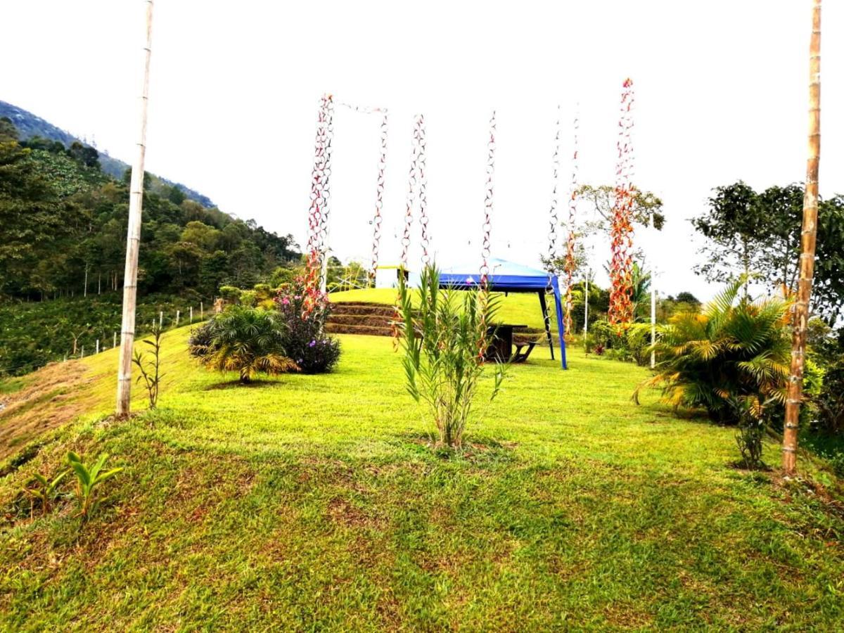 Calarcá Finca Turistica Santa Clara 호스텔 외부 사진